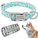 Custom Engraved Dog Collar Personalized