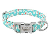 Custom Engraved Dog Collar Personalized