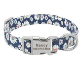 Custom Engraved Dog Collar Personalized