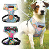 Harness For Small Medium Dogs