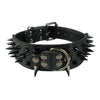 2" Wide Sharp Spiked Studded Leather Dog Collars