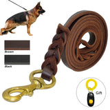 Braided Leather Dog Leash