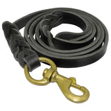 Braided Leather Dog Leash