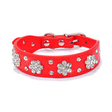 Bling Rhinestone Collars