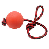 Durable Dog Toys Interactive