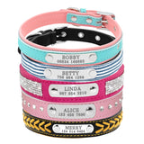 Bling Puppy Dog Collar Personalized