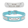 Bling Puppy Dog Collar Personalized