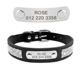 Bling Puppy Dog Collar Personalized