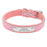 Bling Puppy Dog Collar Personalized