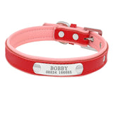 Bling Puppy Dog Collar Personalized