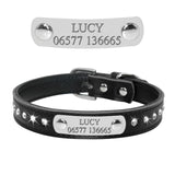 Bling Puppy Dog Collar Personalized