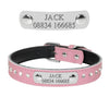 Bling Puppy Dog Collar Personalized