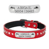 Bling Puppy Dog Collar Personalized