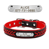 Bling Puppy Dog Collar Personalized