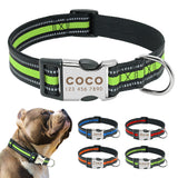 Personalized Dog Collar Reflective