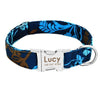 Dog Collar Custom Nylon