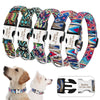 Custom Dog Collar